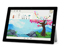 梨树Surface 无法开启、Windows 无法启动或电池无法充电