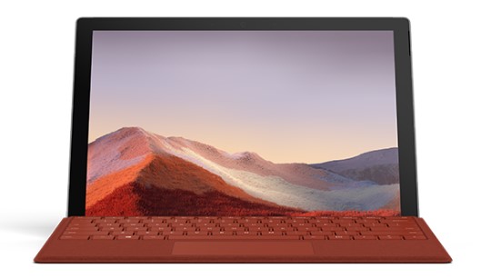 梨树清洁和维护 Surface